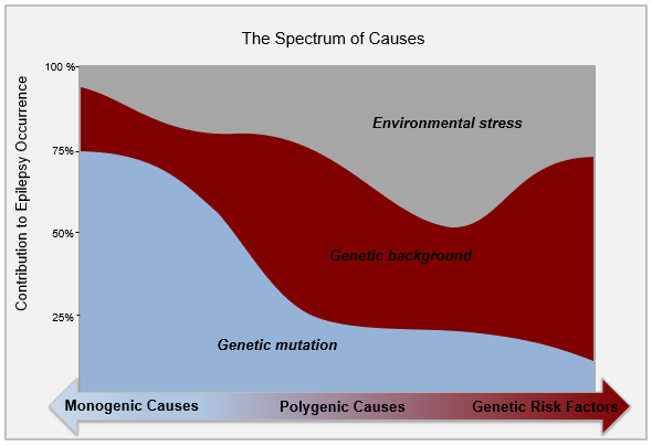 The Spectrum of Causes